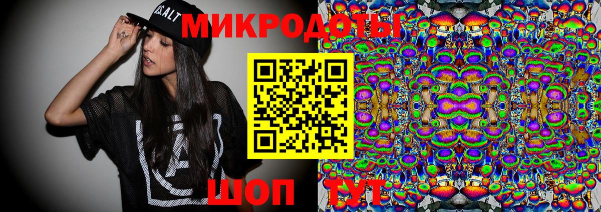 Псилоцибиновые грибы Psilocybe Тимашёвск