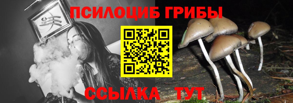 Галлюциногенные грибы мухоморы  Вход с VPN  Галлюциногенные грибы Magic Shrooms  Тимашёвск 